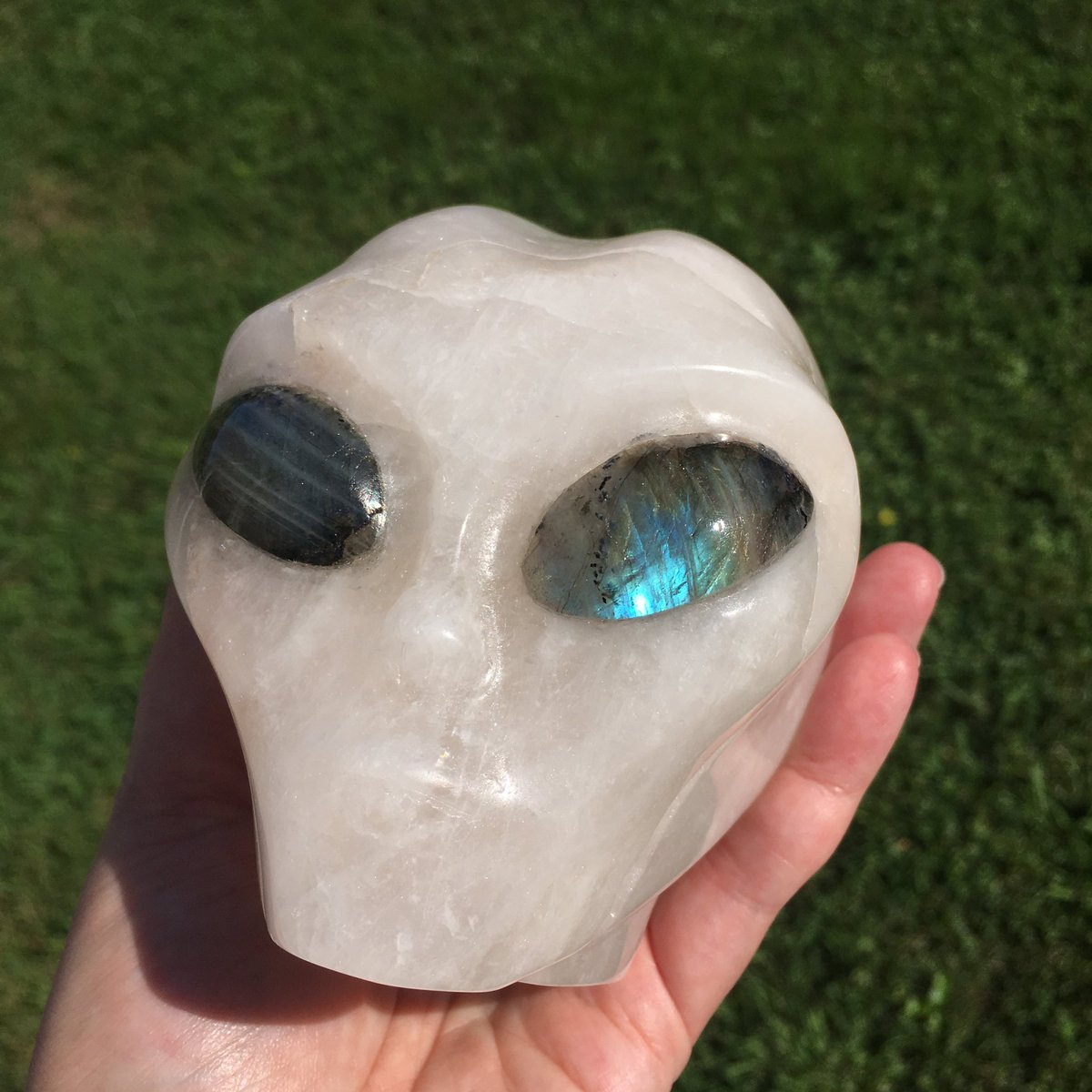 3rdStoneStudios's tweet photo. #LaborDay #FlashSale! 15% off entire shop! π Shop Link: β¬οΈ https://t.co/Isgkg5ASOA
ππ²π½β€οΈ#CrystalSkulls #Crystals #Skulls #Dragons #Aliens #Etsy #Quartz #Labradorite #GreenOpal #MossAgate #Druzy #Minerals #Geology #AncientAliens #LoveIsInTheEarth #CrystalLove #HotRocksSummer https://t.co/cs5JVdMtTR