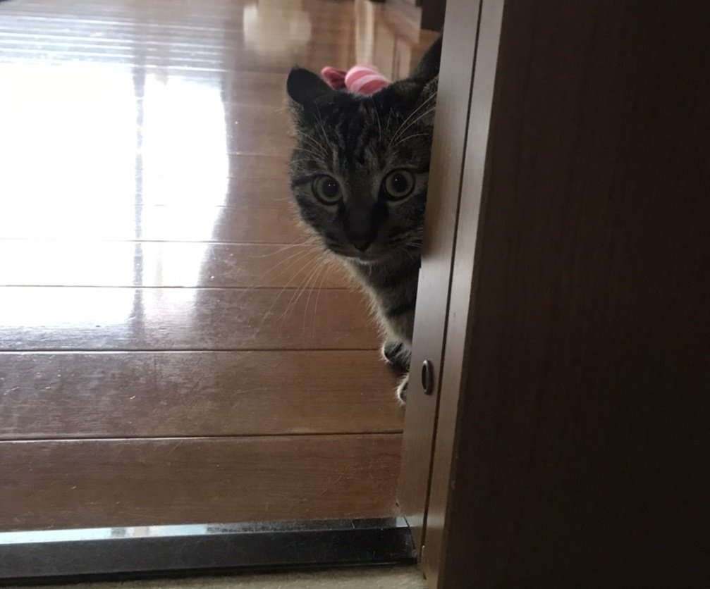 家政婦は見た 家政婦は見た