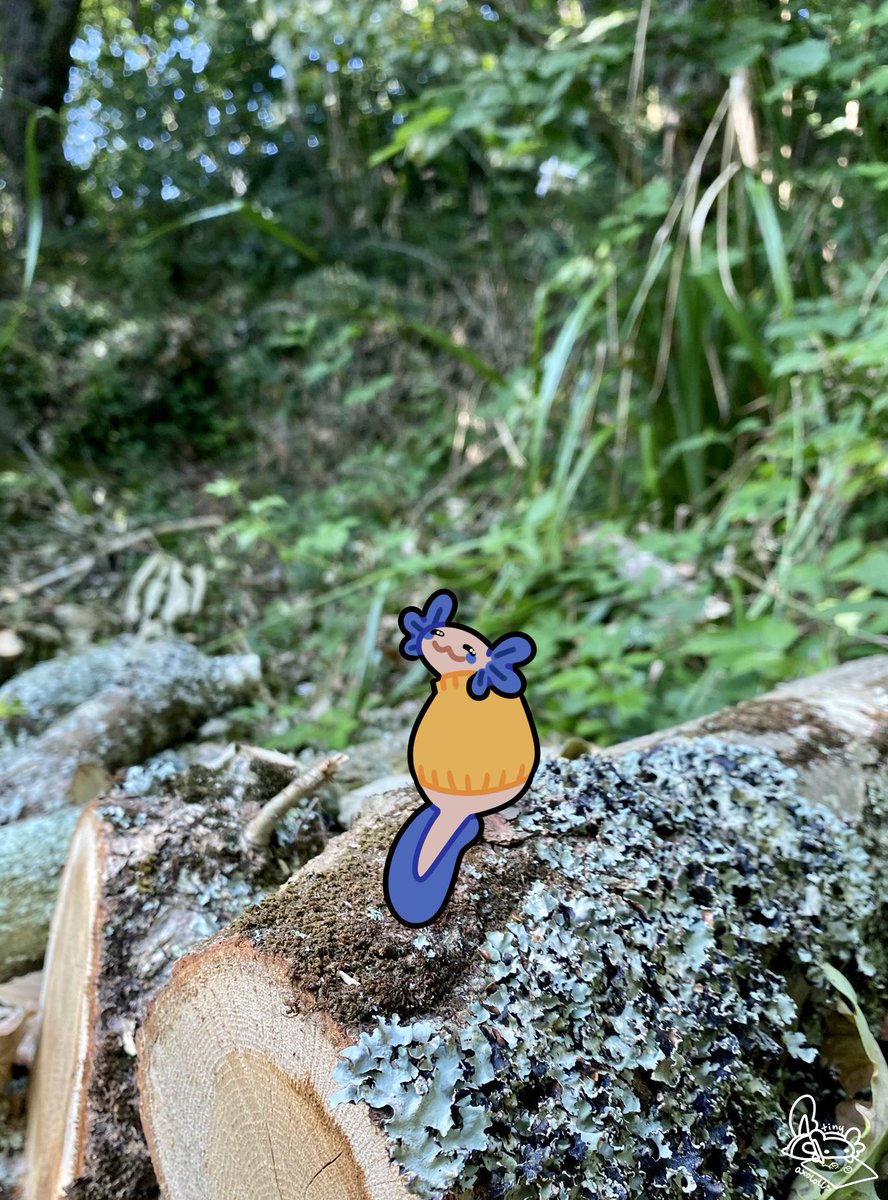 TinyAxolotls's tweet photo. He's ok, he's just enjoying some sun https://t.co/WYLOCppygy
