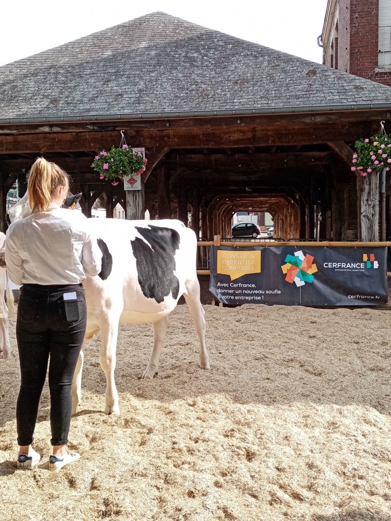 Top départ des festivités du mois de Septembre lancée avec la présence aux concours de génisses de Buchy.
@Cerfrance_sn accompagnent les agriculteurs dans tous les temps forts de leur activité !
#concours #passion #agriculture #normandie