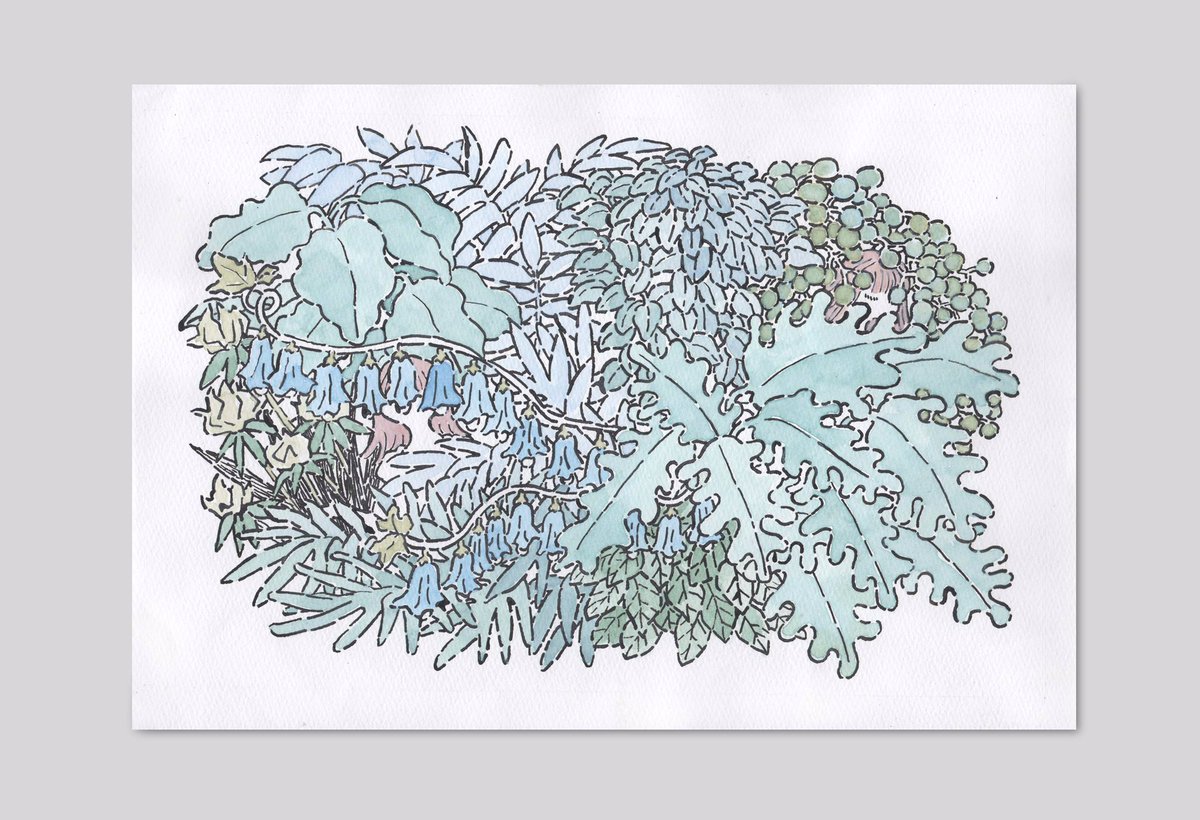 en_buun's tweet photo. 「繁茂」をリメイクしました。
カラーにしてみましたがどうでしょう?
#picture #artwork #art #illustration #illust #draw #drawing #イラスト #イラストレーション #illustrater #植物 #花 #茂み #少女 #plunt #plunts #flower #flowers #girl #thicket https://t.co/NkmotF7EVY