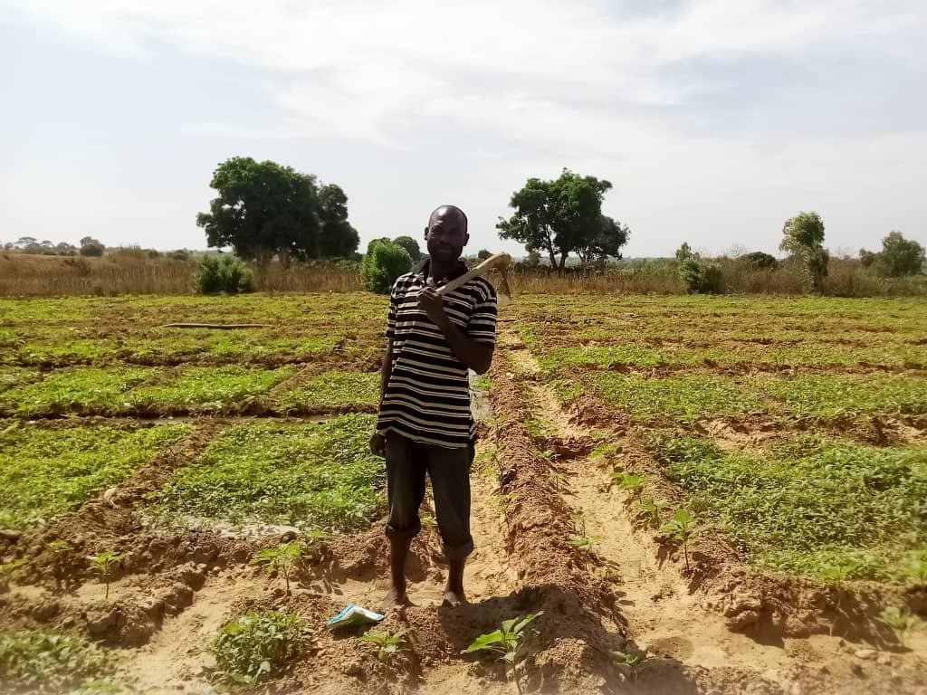 FutureAgrics's tweet image. Evidence from around the 🌍 shows that #smallholder #farmers are more productive... but this evidence is largely limited to farms operating &amp;lt;5ha. 

So what&apos;s the reality of productivity for larger small-scale farms? Our new #blog explores: bit.ly/3gRIXOU