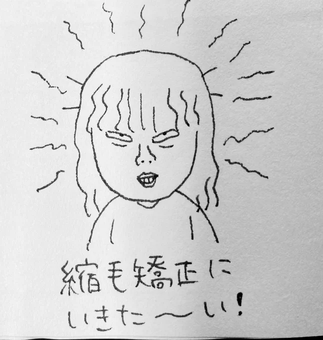 昨年(2020年)の絵日記(?)美容健康シリーズ 