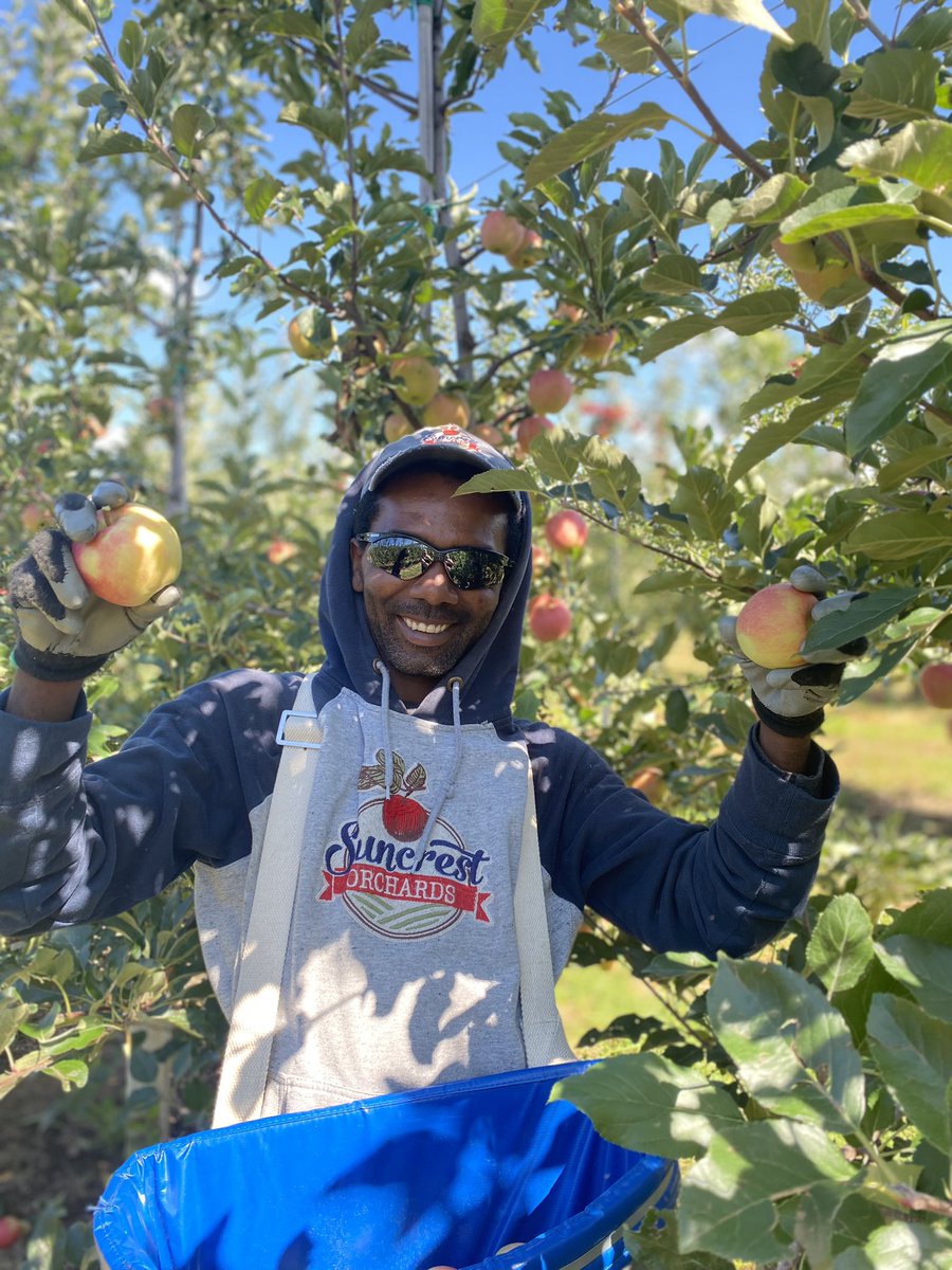 Amanda Dooney tweet media