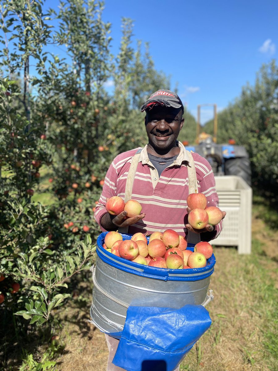 Amanda Dooney tweet media