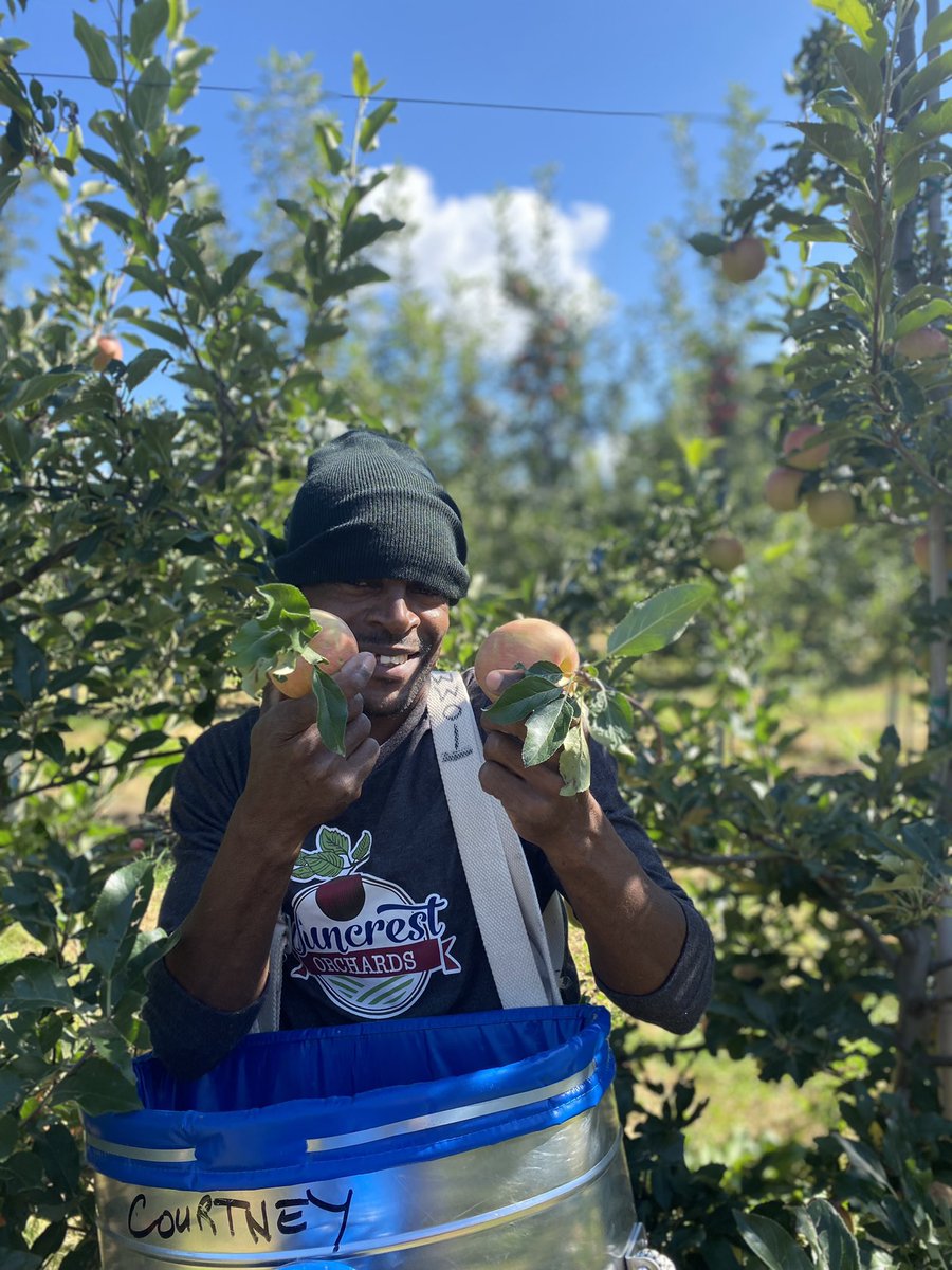 Amanda Dooney tweet media