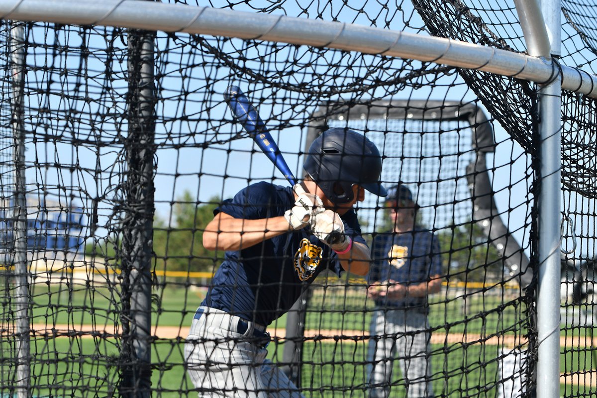 MCC_ATH's tweet photo. Softball and baseball are back on the field preparing for their fall season to begin. Go Tigers! #TigerForLife #SupportMCC #FightingTigers https://t.co/8p2VRzqcpY