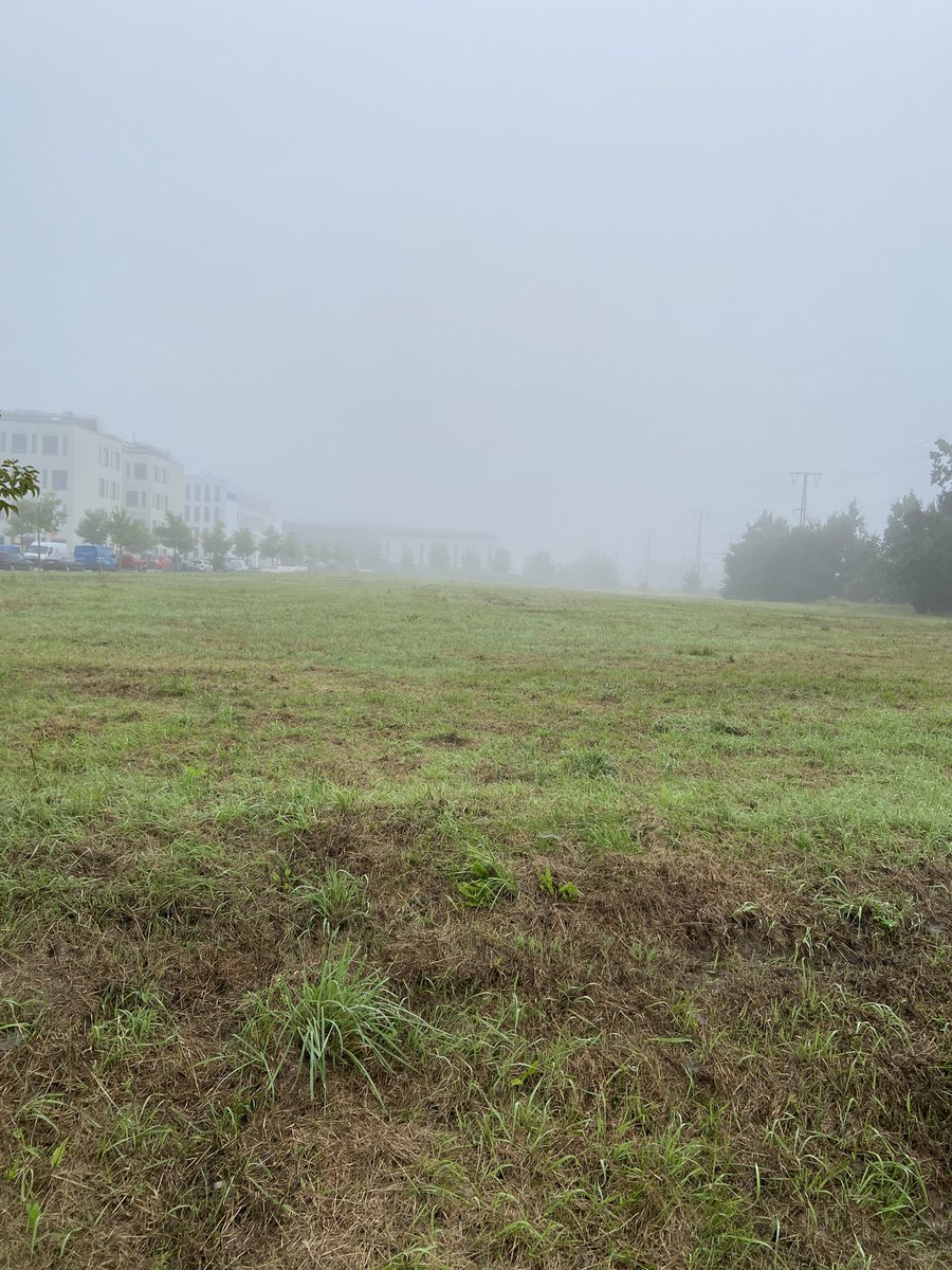 johannakohnen1's tweet photo. Hallo Herbst! Das Brandenburgischen Landeshauptarchiv versteckt sich heute ein wenig 😅 #blha #archiv #praktikum https://t.co/hKphd2sLBr