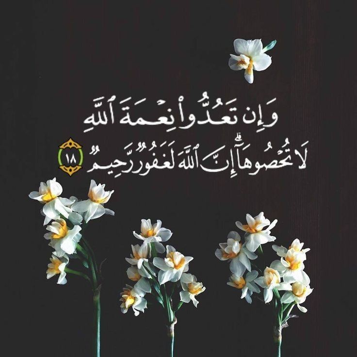 A95Esraa's tweet photo. @ahmed_khalaf93 @Mu_AlSadr https://t.co/5V7YCAQf7l