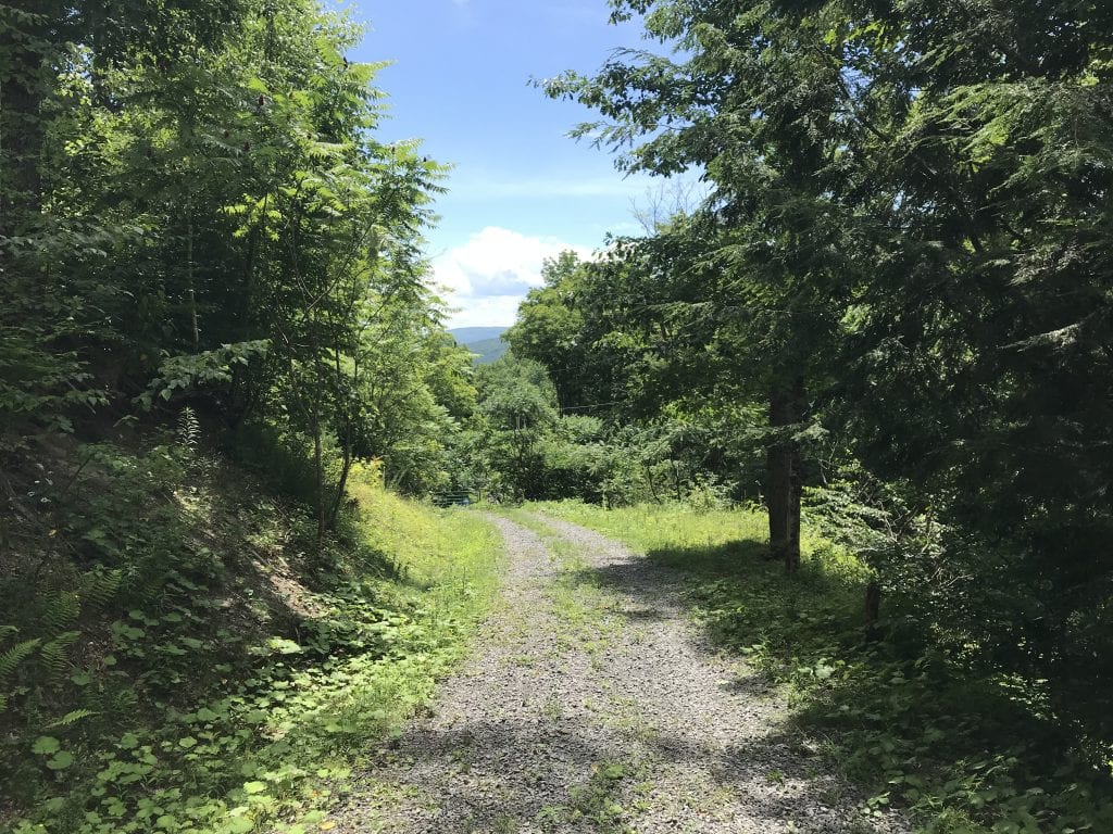 NYLandQuest's tweet photo. 51 acres HUNTING LAND with QUONSET HUT in Middleburgh NY. New driveway leads up to a great building site. Many deer runs throughout this piece of land. ATV trails. Enclosed tree stand. $95,900. https://t.co/6weKxasfZc @NYLandQuest #hunting #quonsethut #middleburgh #NewYork https://t.co/sSG4XqLW9S