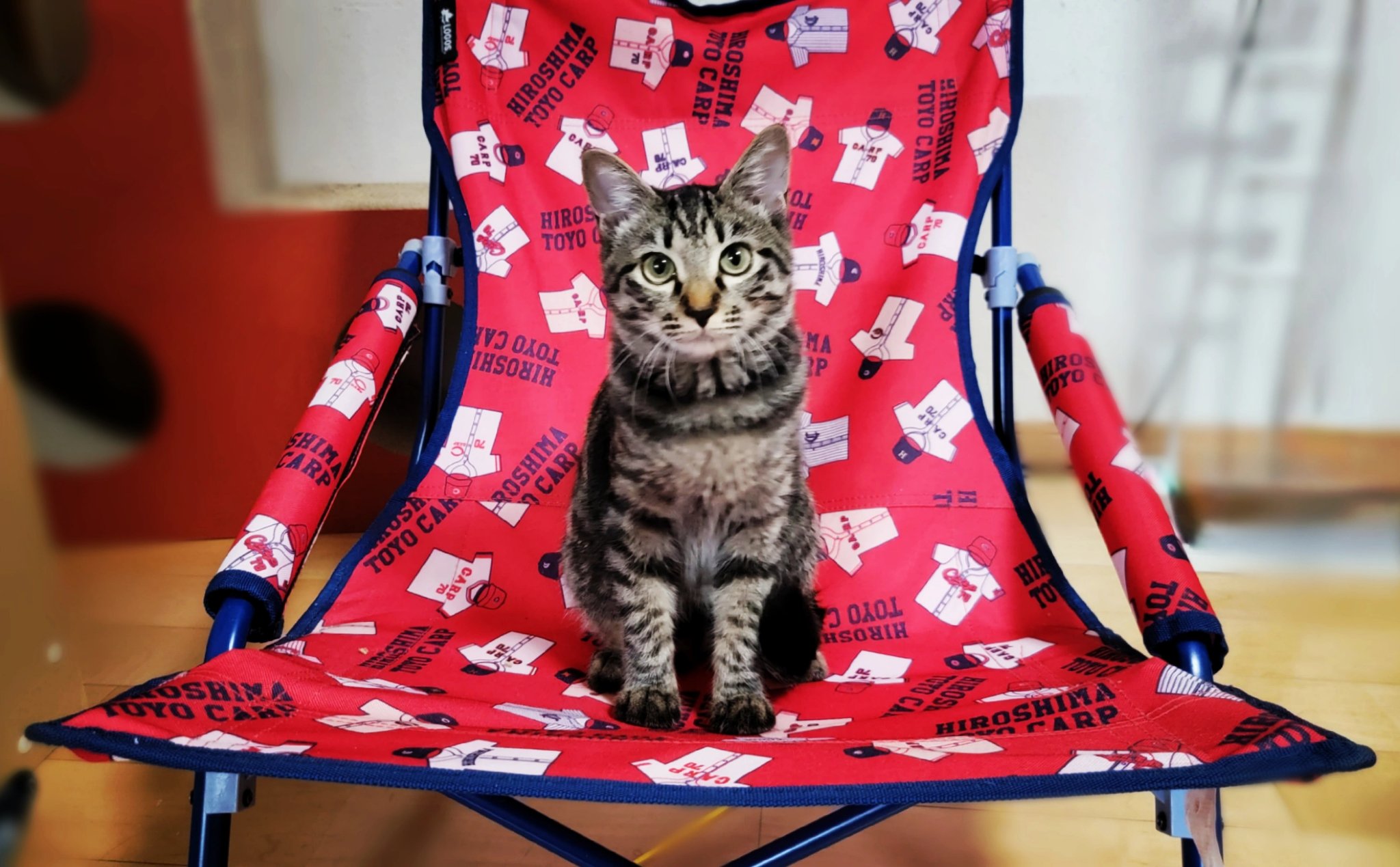 カープグッズ Twitter Search Twitter