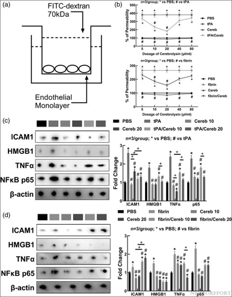 NeuroReport tweet media