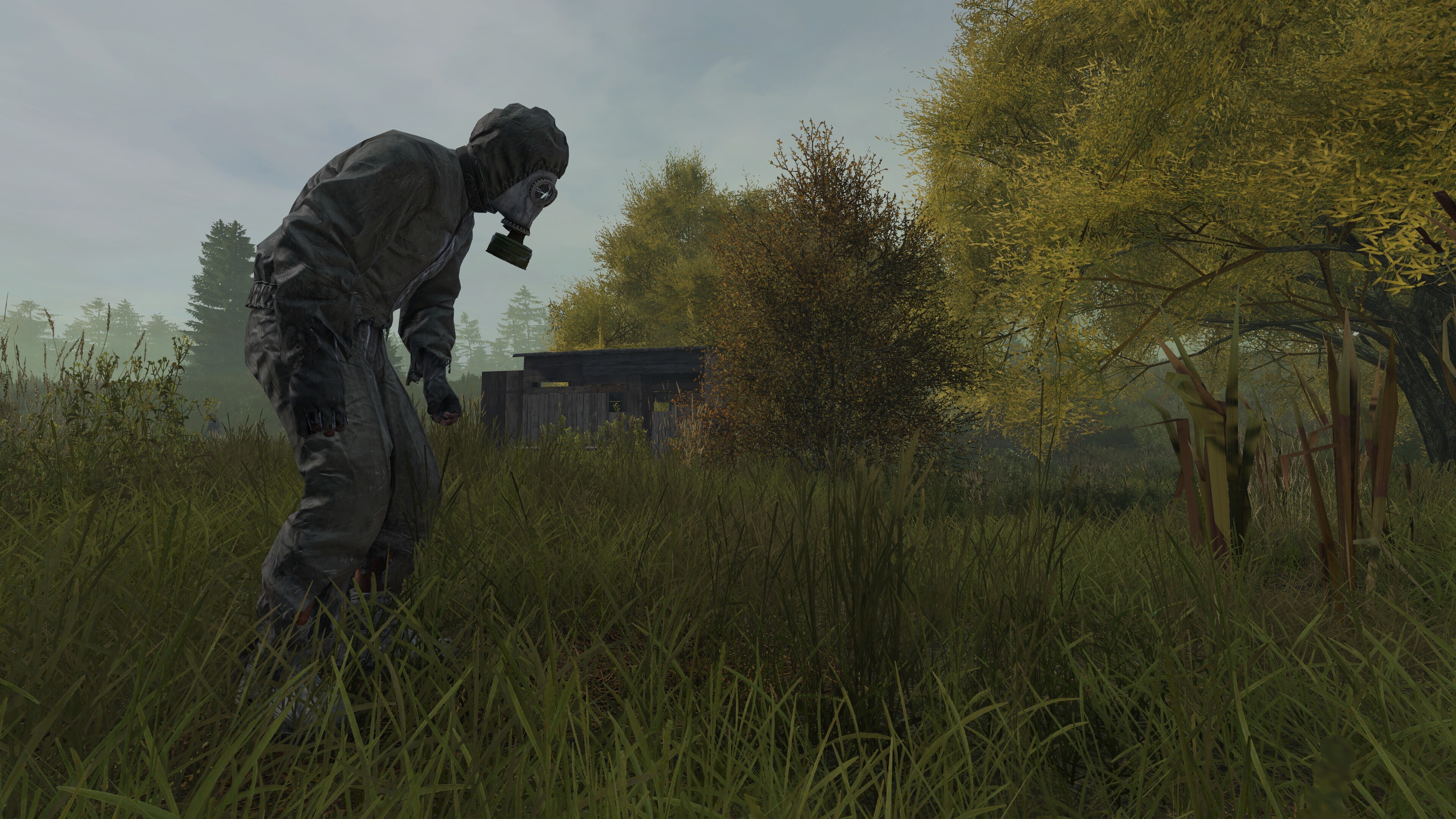 DayZ on X