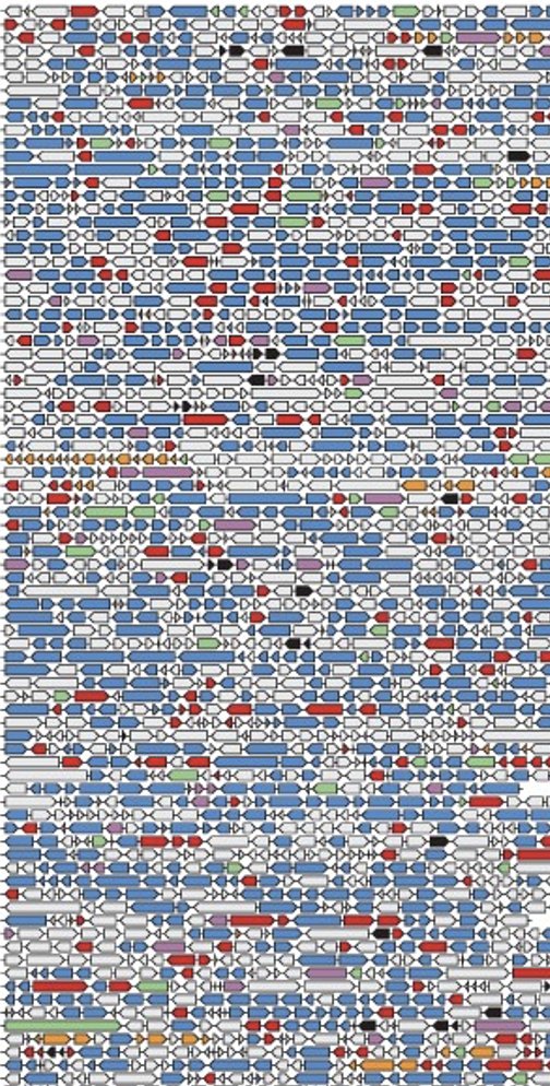 If you are building software to visualise genetic constructs using SBOL Visual you might find our new #Python library paraSBOLv useful. Our paper covering its core functionality is now out in <a href="/OUPSynBio/">Synthetic Biology</a>: doi.org/10.1093/synbio… <a href="/jamesscottbrown/">James Scott-Brown</a>  <a href="/SBOLstandard/">SBOL</a> <a href="/BrisBioDesign/">Bristol BioDesign Institute</a>