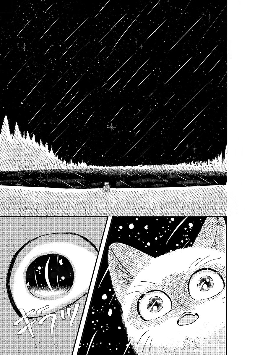 鉱物標本店で働く猫の話(4/6) 