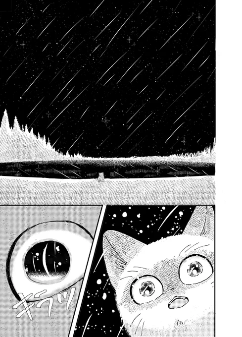 鉱物標本店で働く猫の話(4/6) 