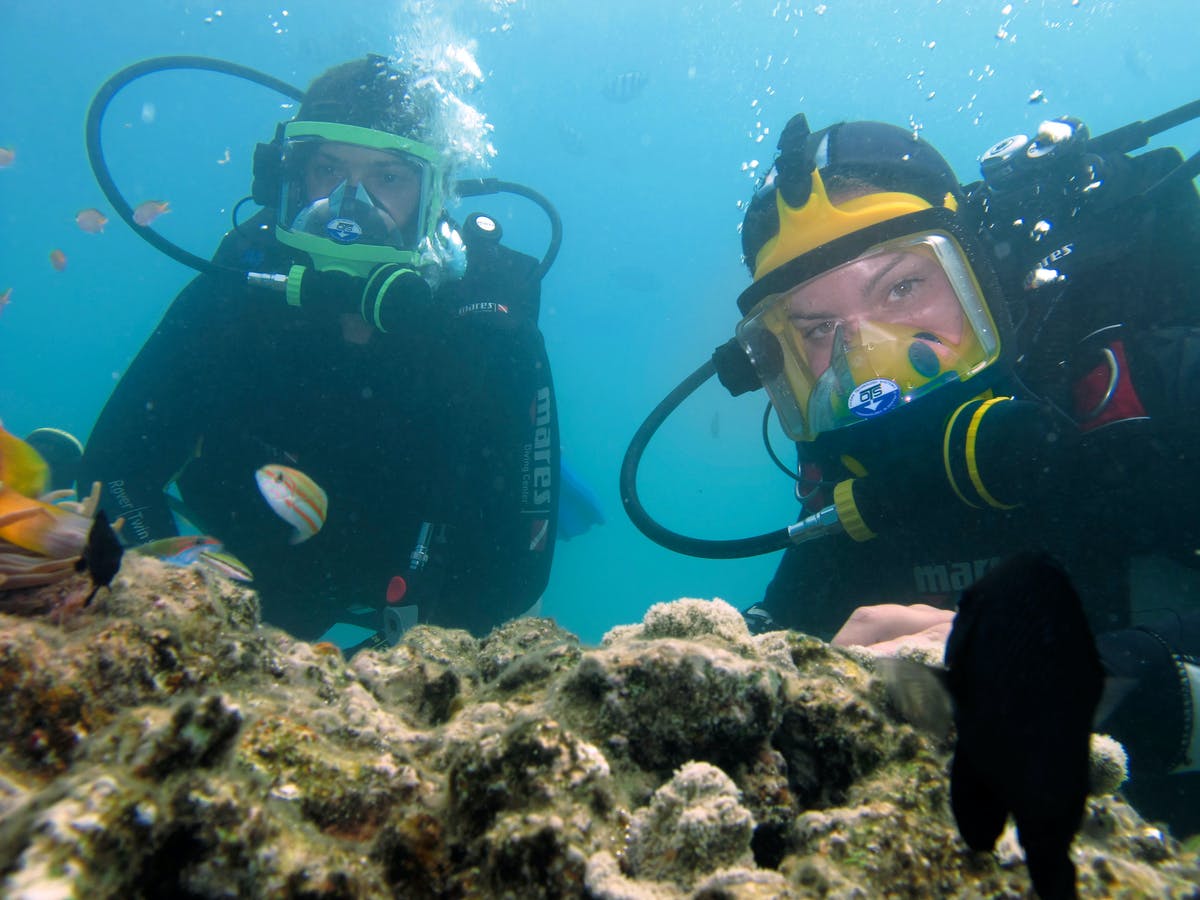 EI_MENA's tweet photo. With offices located across the Middle East, @ByrneLooby provides #construction support to #environmental projects like feasibility studies for rearing fish in a 12km2 reclamation in @DiyarAlMuharraq, where cinder blocks were placed to create an artificial reef. #IrishAdvantage https://t.co/hxCHB9vzZd