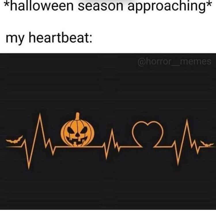 funkiloomy's tweet photo. 🎃🎃🎃 https://t.co/fDSfhr3h01