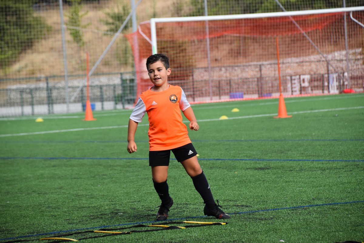 CDParquesol's tweet photo. 👋🍊⚽️ ¡Oyeeeeee! ¡10 últimos días para apuntarse al primer ciclo de tecnificación del club!

🤔 ¿Te lo vas a perder?

👉 https://t.co/LCHs1qSYb6

#Tecnificación #CDParquesol #VamosParquesol https://t.co/bInOWRgbsO