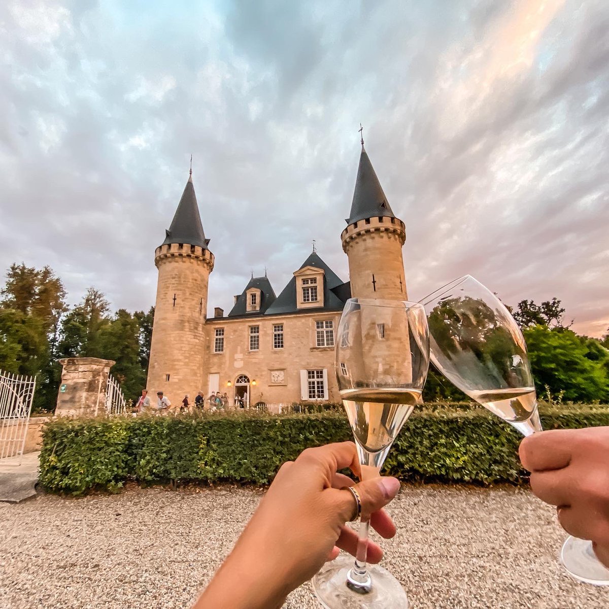 Shannon Kircher ✈ tweet media