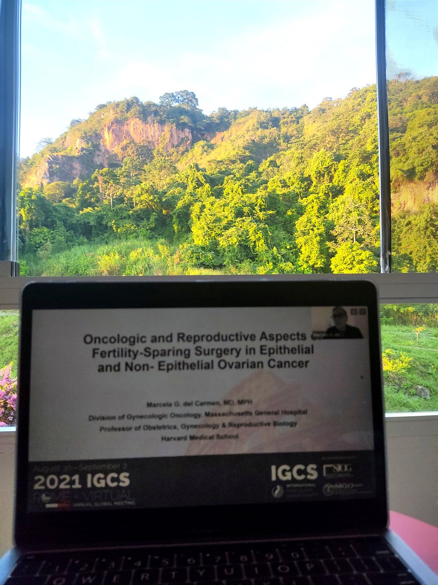 oncohoegl's tweet photo. Last day #IGCS2021 couldn't have a better view for #mastersessions #OvarianCancer https://t.co/IuEFV0K0cb