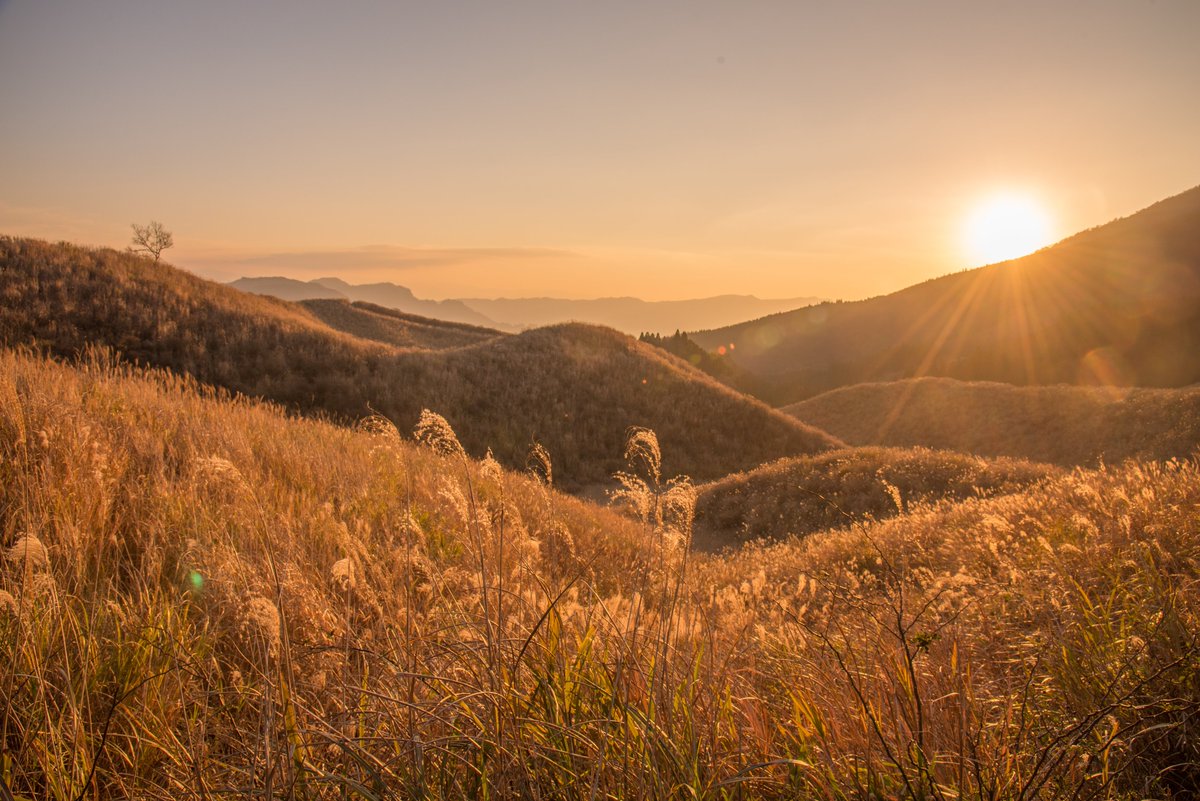 Please join us tomorrow at 9.30am, where Thomas Becket will host an end of summer catch up to prepare you for your client meetings and give his latest views on geopolitics, politics, the economy, inflation and financial markets. 

Register here: bit.ly/SummerInReview