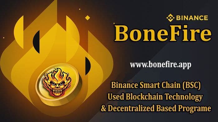In cryptocurrency market trust is paramount, that means full transparency not only in the community and development but also in security efforts. BONE FIRE has been audited by third party dessert finance and has burned and locked majority of the LP Tokens.