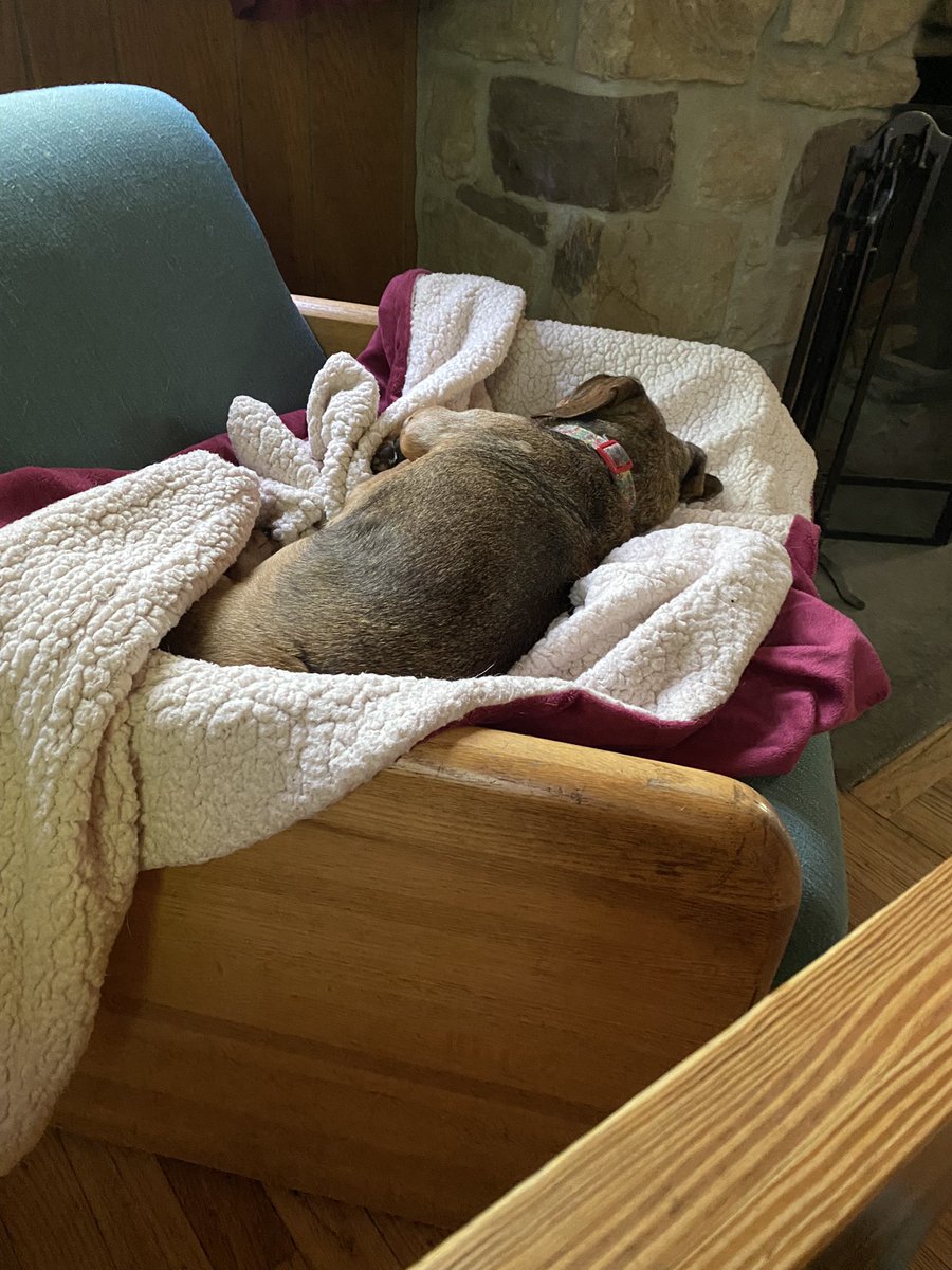 Molly here🏹🦄🎯🏰, we weren’t sure what was going on with this chair but I quickly made it mine and stayed on it whenever they saw fit to leave us. I bet if we had taken the truck dad could have talked them into selling it to me 🤣🤣