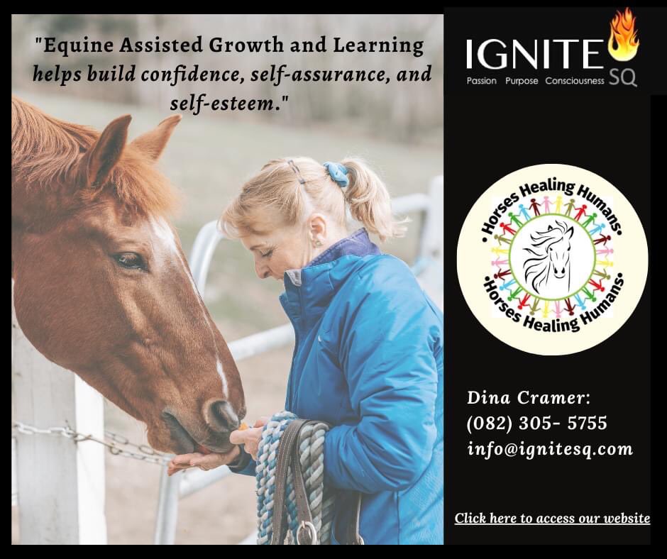 dinacramer's tweet photo. #horses  #horsepower #horselife #horsecoaching #equine #horseleadership #growthandlearning #horsehealinghumans #horsetherapy #learninganddevelopment #eagala #wisdomofhorses #horsesforlife #motivation #inspiration #mindfulness #leadership #coaching #leadershipdevelopment https://t.co/BwnWwSVaXy