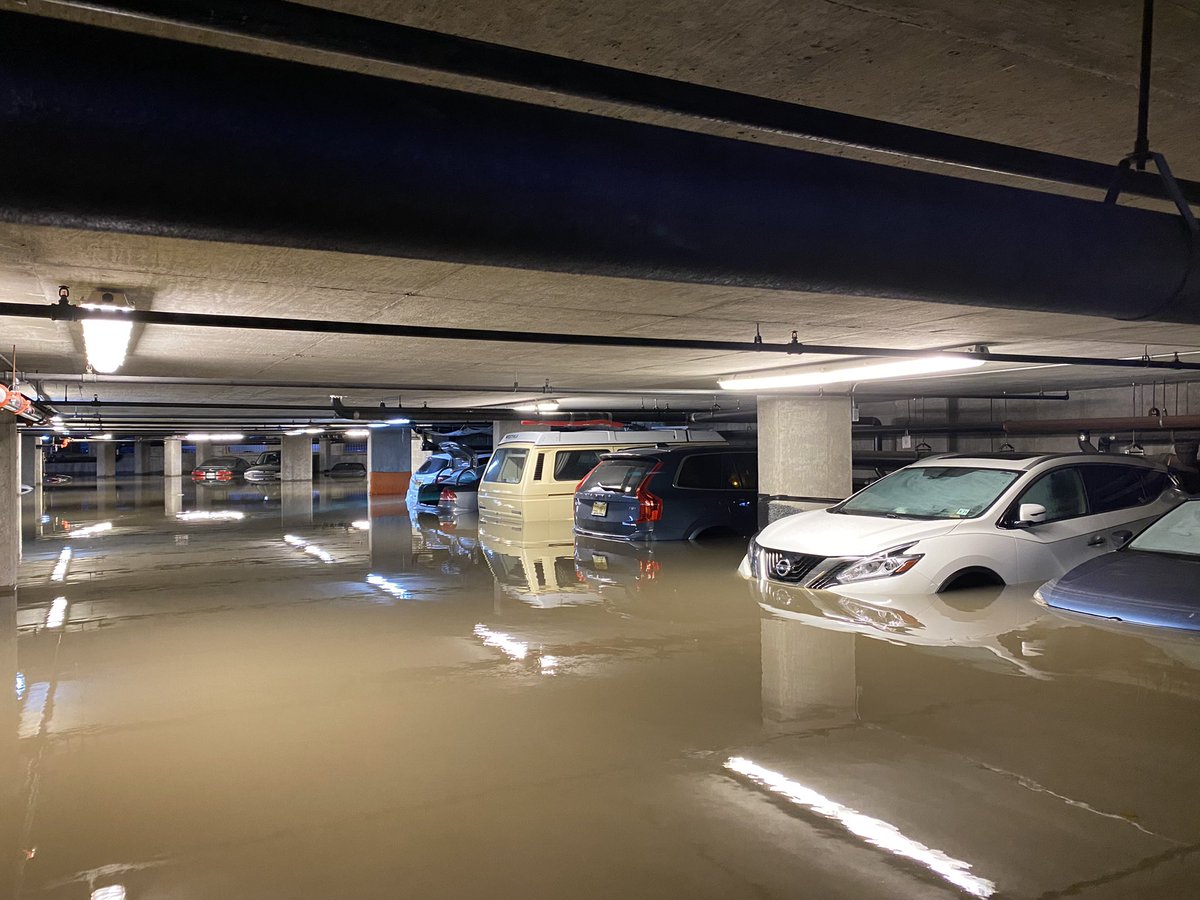 Dave Actual tweet media