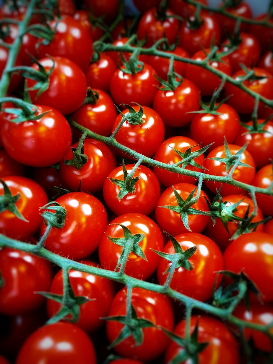 Question.... Does anyone else think the smell of on the vine cherry tomatoes is ABSOLUTELY glorious?! Just me?! #cheflife #fresh #smellsofthekitchen