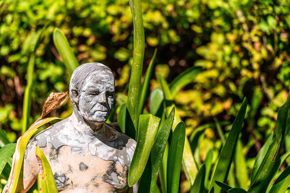 Come and enjoy the fresh Spring air and some delicious eats at Weltevreden Estate.

#openforbusiness #stellenbosch #capewinelands #stellenboschrestaurants #familyouting