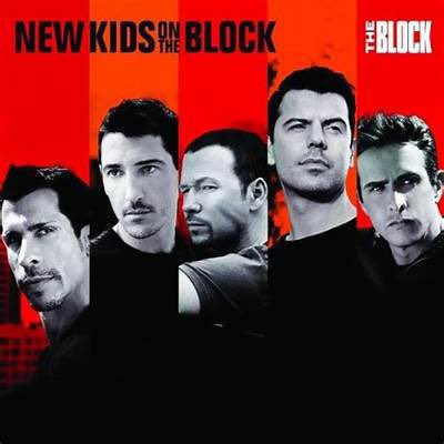 DonnieWahlberg's tweet photo. Happy #BlockAVersary 🤖❤️ https://t.co/qdROUwi2jo