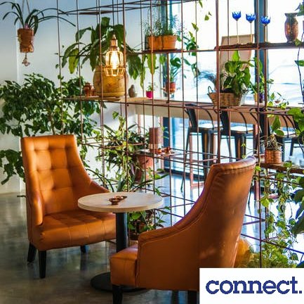 connectRMP's tweet photo. Indoor greenery, such as a Snake plant, can make a huge difference when it comes to improving the microclimate of an office. 

They produce huge amounts of oxygen, creating a clearer atmosphere, as well as neutralizing harmful fumes created by synthetic materials. 

#officeplants https://t.co/duZfhNaznm
