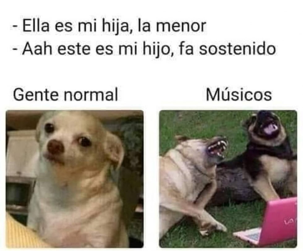 SpikeperezG's tweet photo. Musicologos https://t.co/ero4TL17nC