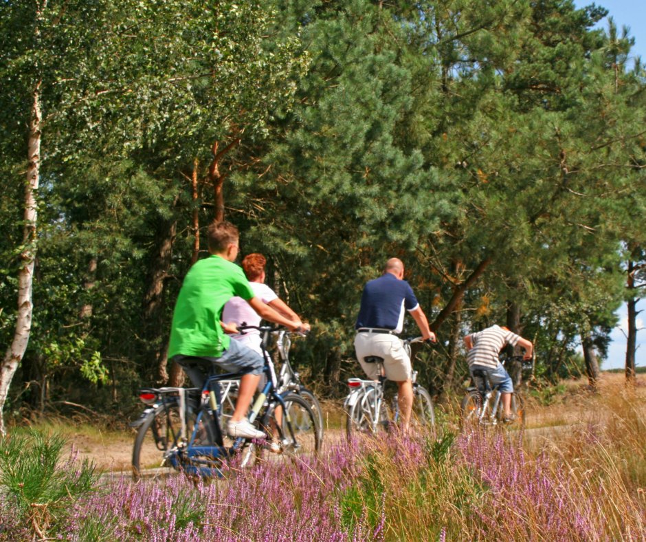 cyclekinguk's tweet photo. Hands up if you went for a bike ride this weekend π
We want to see where you ride! Tag us in your photos and use the #cyclekinguk and we'll pick our favourites to share. https://t.co/itB04PvT50