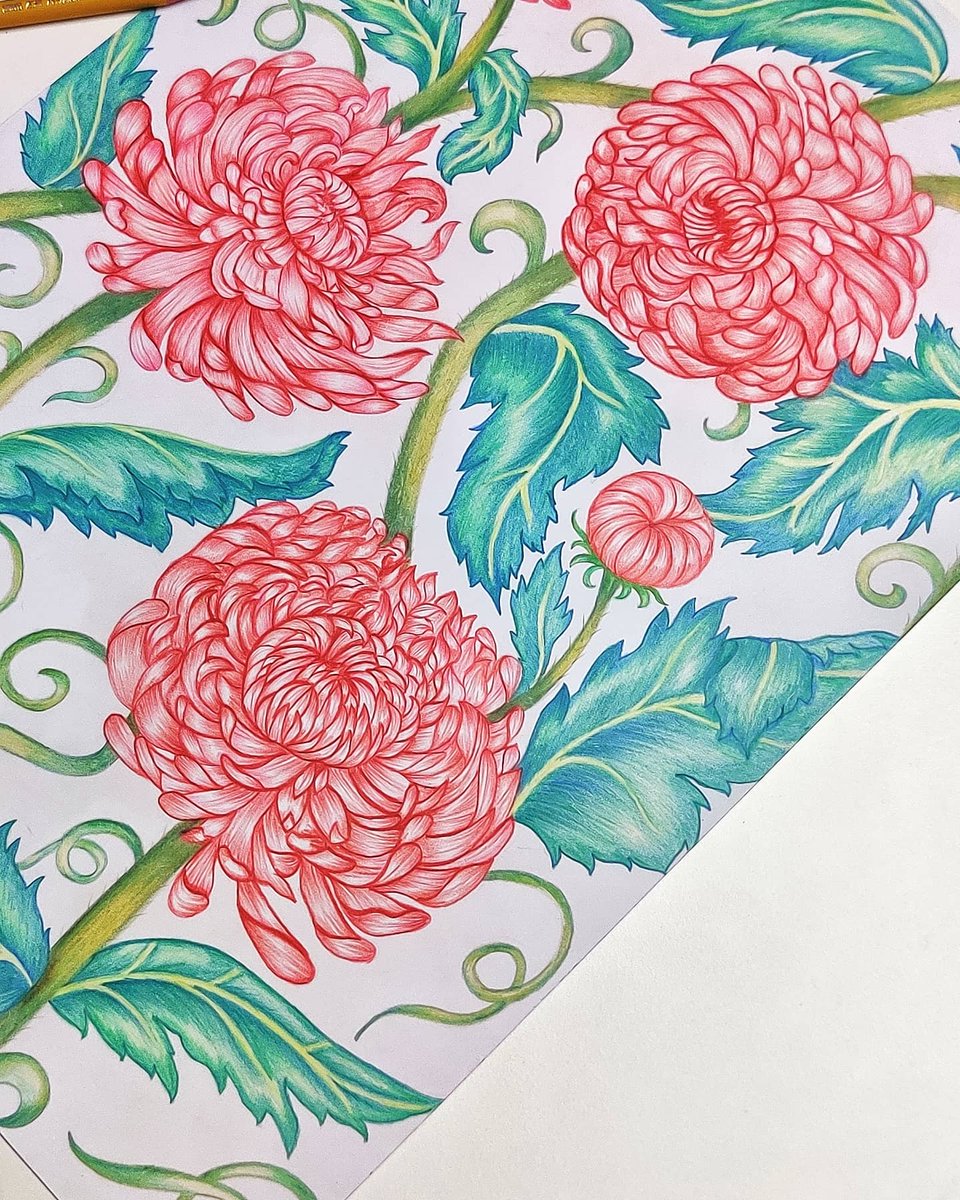 RaveenaBaskaran's tweet photo. #floralprints #reels #makingarteveryday #artreels #artprint #floraldesign #floralart #floralsketch #botanicalreels #botanicalart #bouquetpattern #artlicensing #artistlife #studiodesign #raveenadesignhouse #exclusivepatterns #licensingartist #commisionedartwork #art #fineart https://t.co/Mqcmwbl4bO