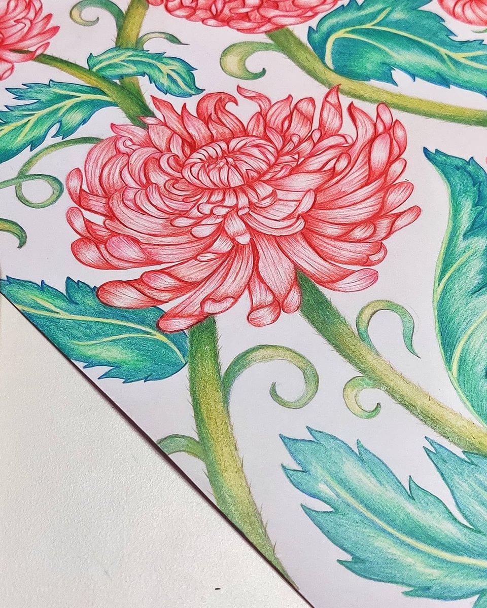 RaveenaBaskaran's tweet photo. #floralprints #reels #makingarteveryday #artreels #artprint #floraldesign #floralart #floralsketch #botanicalreels #botanicalart #bouquetpattern #artlicensing #artistlife #studiodesign #raveenadesignhouse #exclusivepatterns #licensingartist #commisionedartwork #art #fineart https://t.co/Mqcmwbl4bO