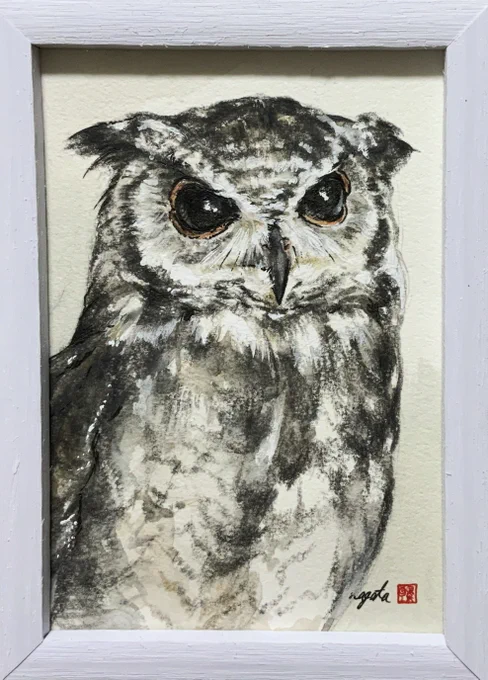 アビシニアンワシミミズクお絵かき強化週間🦉

週間いうて月間ばりの期間あいてる…テヘ 