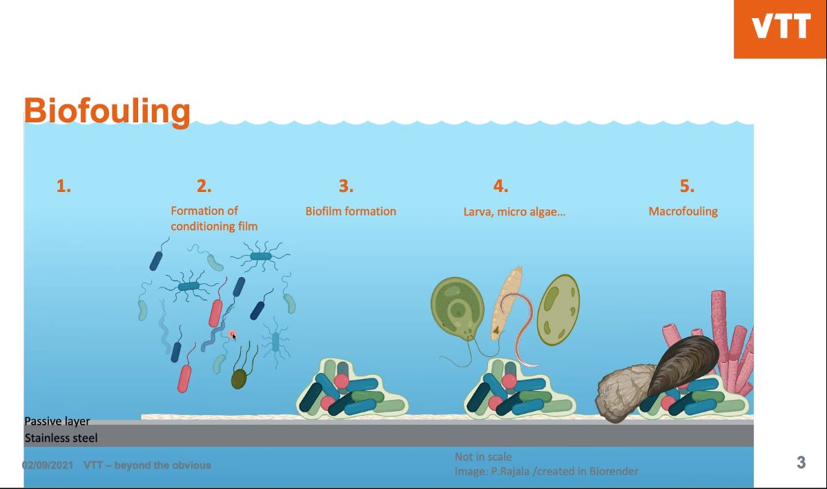 PerforMat_net's tweet photo. Pauliina Rajala @VTTFinland discussed about passive layer characteristics, surface roughness and their effect on biological fouling on stainless steels. Biofouling is typically hard to migitate and it may cause unexpected failures.
#PerforMat webinar https://t.co/oCG9Nw0N8D