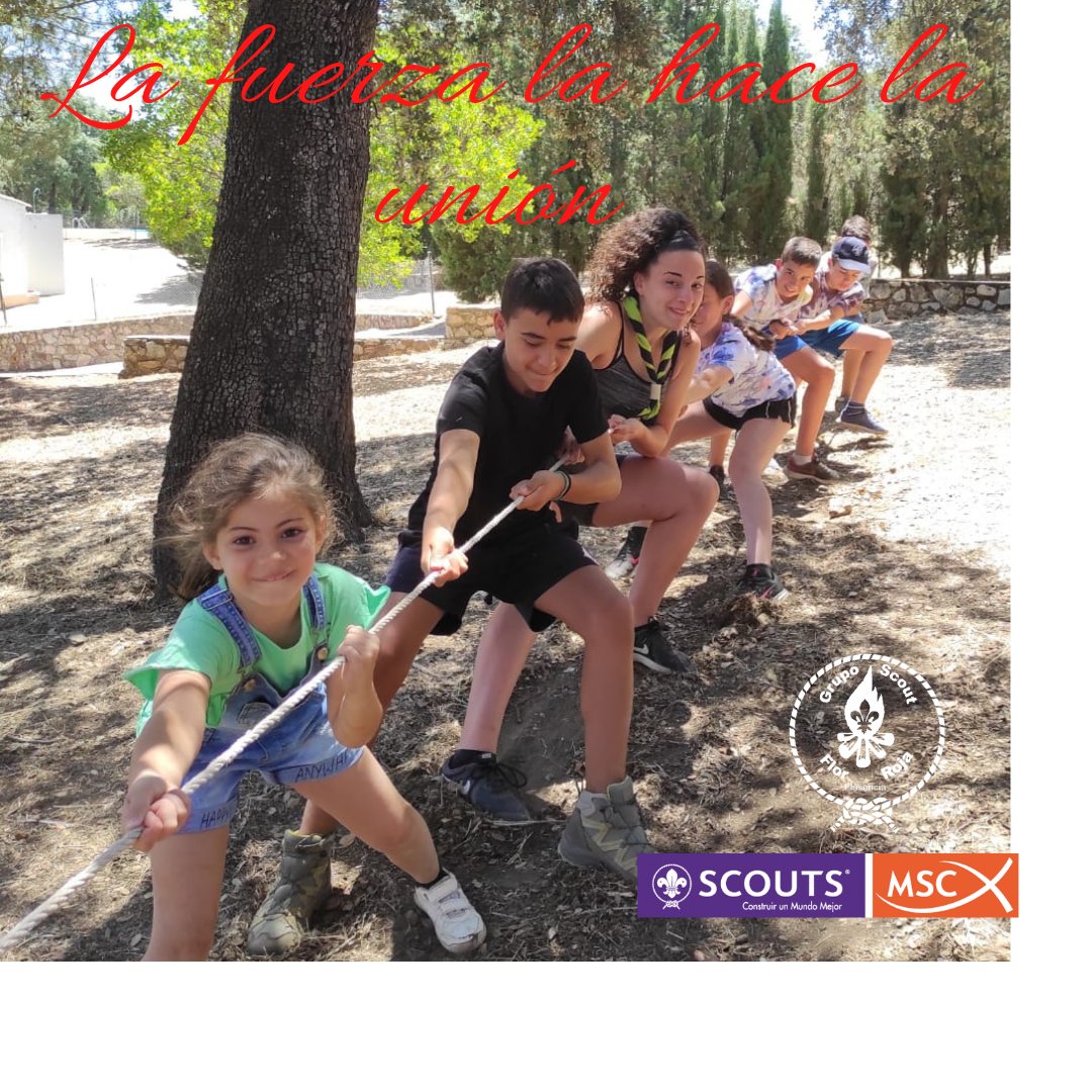 ScoutFlorRoja's tweet photo. Así de fácil, la unión hace la fuerza y esta nos hace grandes .... https://t.co/3CX91219bl