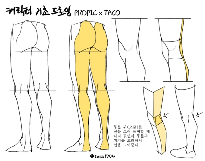 무릎 뒤(오금)를 표현할 때 다리 뒷면, 무릎과 일치하는 위치를 고려해서 선을 그어 표현한다 