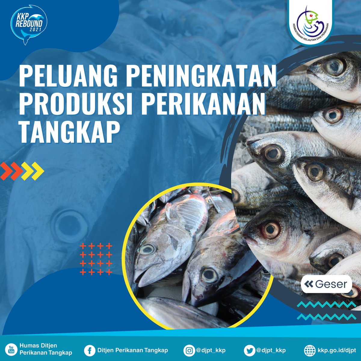 djpt_kkp's tweet photo. Kalau melihat ini, mimin jadi pengen punya usaha perikanan tangkap nih #SahabatBahari 😁🤭

#KKPRebound #BanggaJadiNelayan #MenteriKKP #SaktiWahyuTrenggono https://t.co/LSf0pYILZz