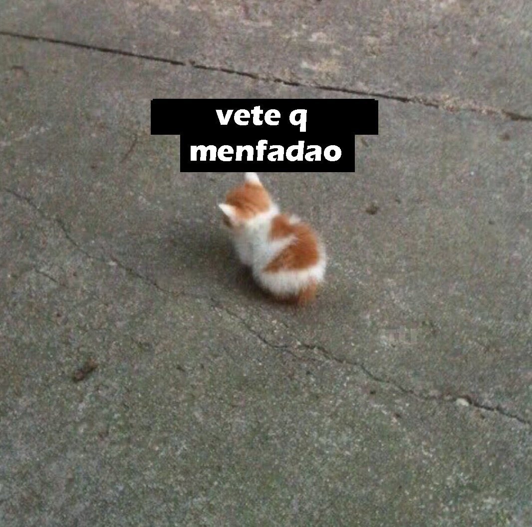 alextalksai's tweet photo. JAJAJAJAJAJ sí soy https://t.co/MfDxPyfIE8