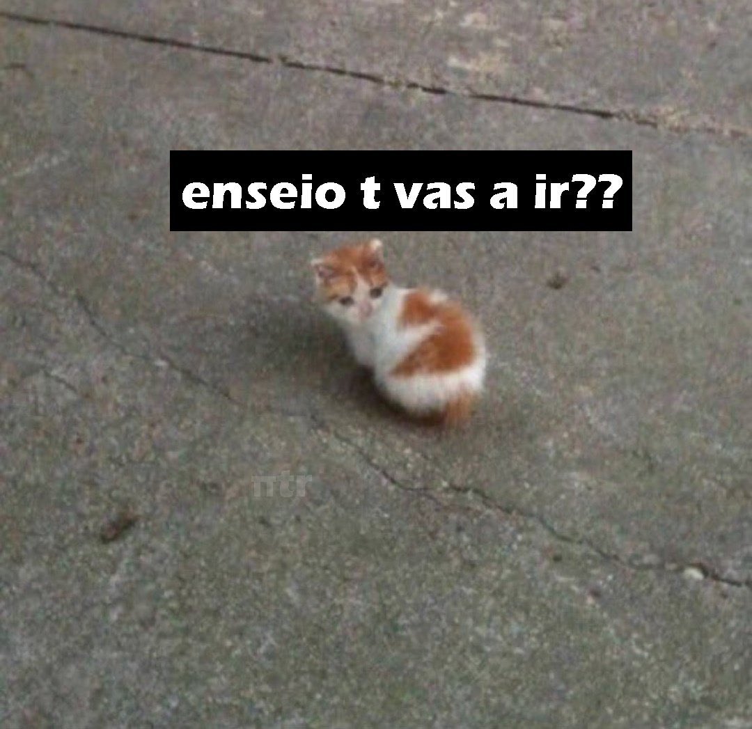 alextalksai's tweet photo. JAJAJAJAJAJ sí soy https://t.co/MfDxPyfIE8