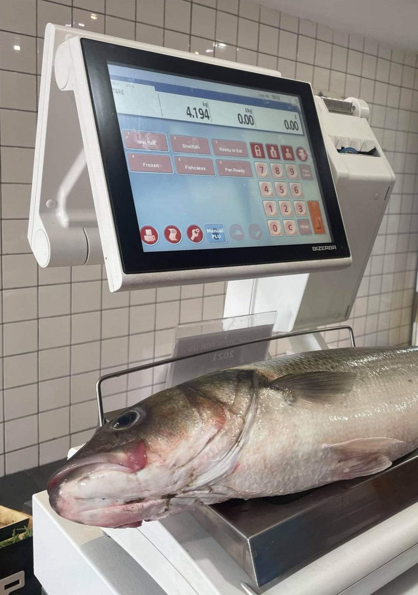 Lovely 4kg+ bass available for delivery tomorrow...... any takers? Not very many of this size fish been landed here, absolutely stunning quality and an absolute amazing addition to any menu!