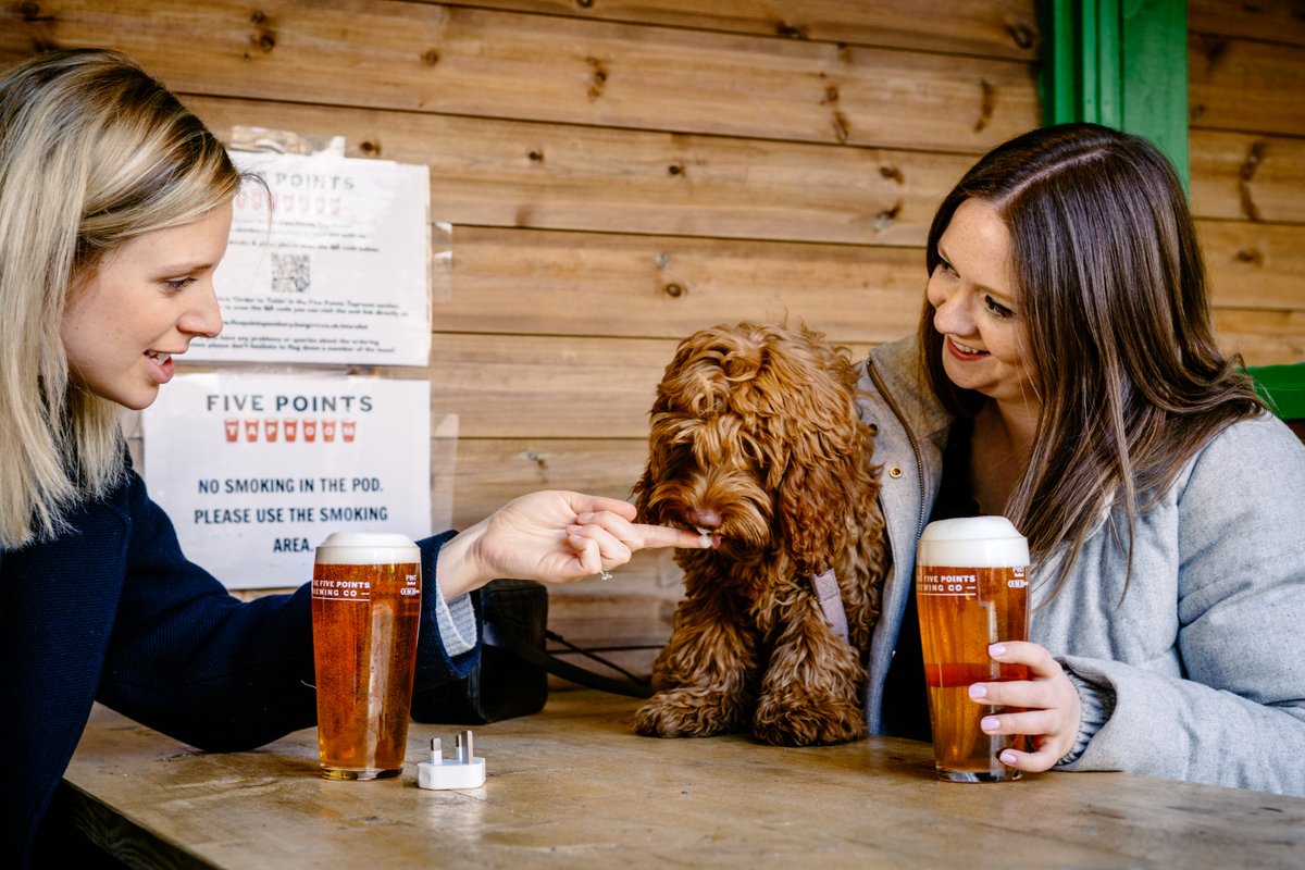 FivePointsBrew's tweet photo. Not that we want to bribe anyone...but there's usually a pup or two at the Taproom...
Just thought you'd like to know that🐕
#PintsandPups https://t.co/lVtIq4mB3z