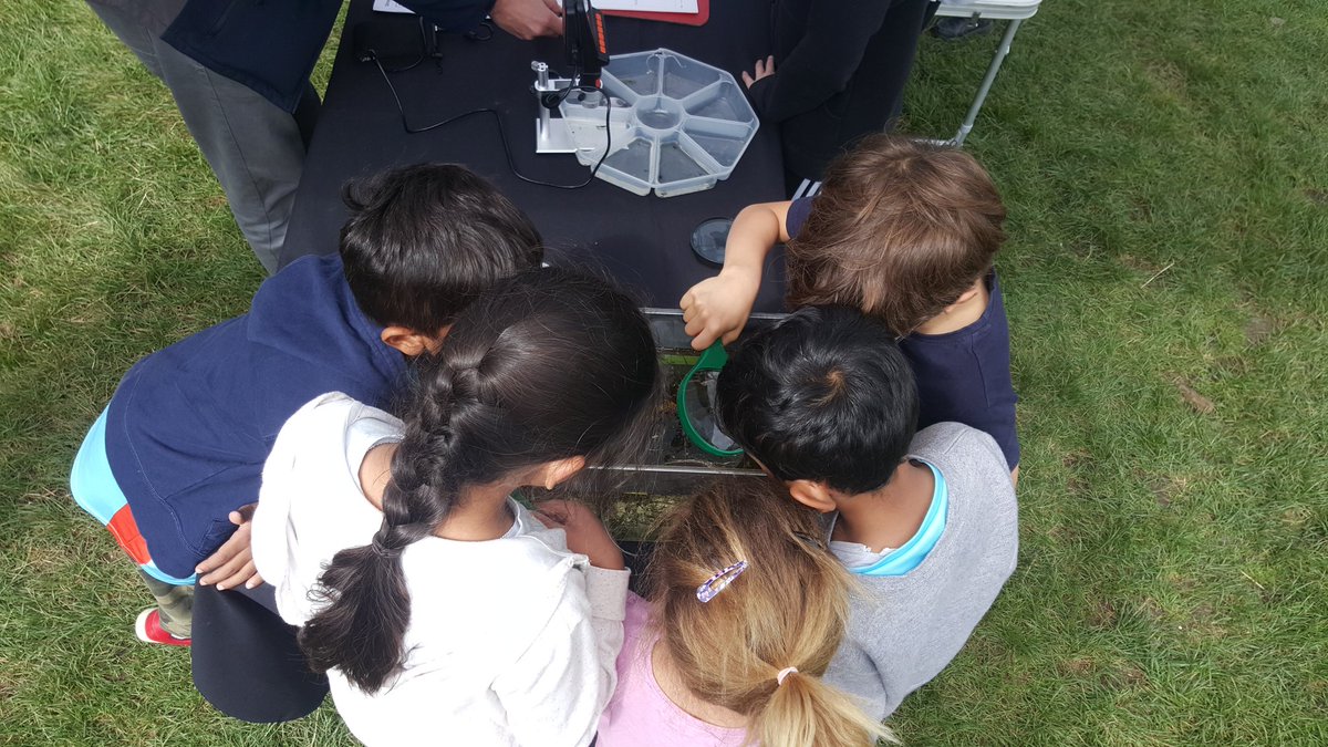 JoshKalms's tweet image. Thanks to the 800+ people who visited our Life at the Lake events at Stocker's Lake this year. Now 100s more young people are enthused about wetland wildife &amp;amp; water saving... very rewarding too 😁
@HMWTBadger @AffinityWater