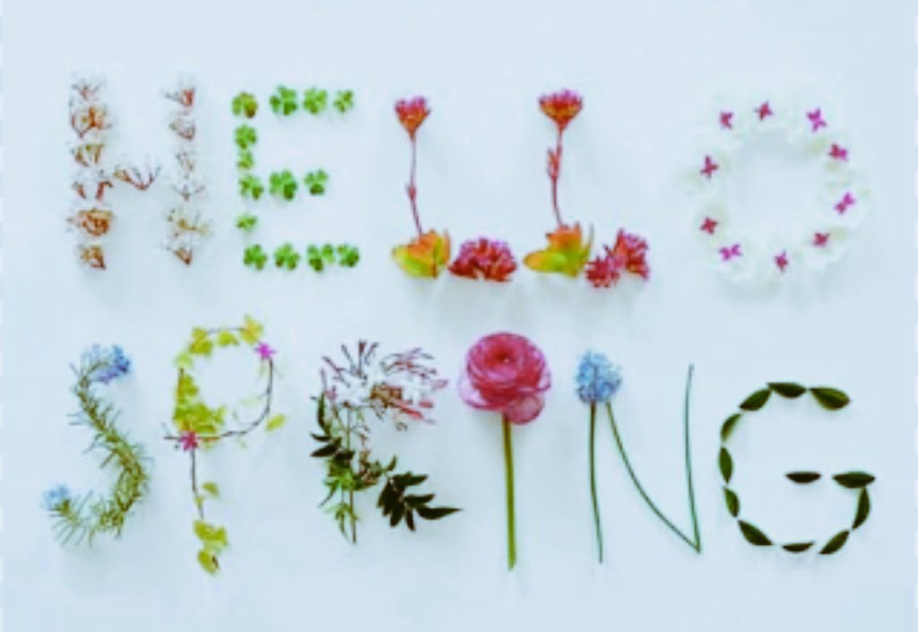 ThornhillBW252's tweet image. It is nearly time to welcome back our Reception to Std 5 children @ThornhillBW252 next week. Here are some photographs to wet your appetite. School starts on Tuesday, 07 September. #YearningToLearn #TheThornhillWay