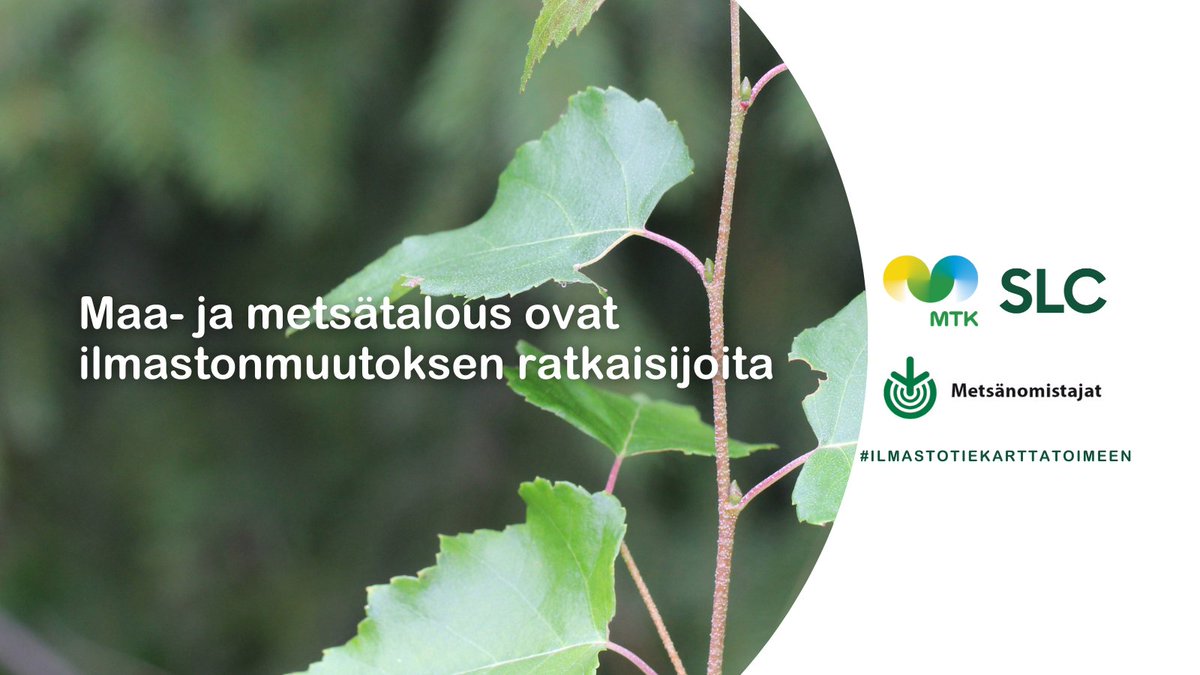 Maa- ja metsätalous ovat ilmastonmuutoksen ratkaisijoita 🌱 🌲 Jäsenemme haluavat tehdä kaikkensa ilmastotavoitteiden eteen, kunhan siihen annetaan reilu mahdollisuus <a href="/Metsanomistajat/">Metsänomistajat</a> <a href="/SLC_lantbruk/">SLC</a> 
#maatalous #metsätalous #ilmastonmuutos #budjettiriihi #ilmastotiekarttatoimeen
